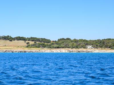 Orte Bay
