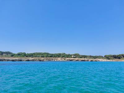 Orte Bay
