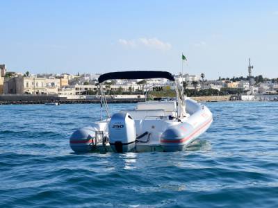 noleggio Joker Boat Clubman 27